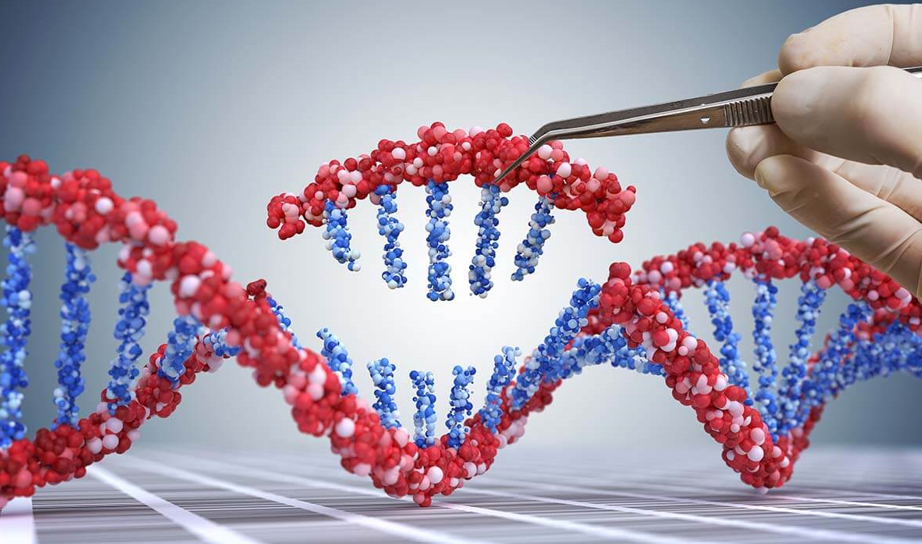 تصحیح بازهای DNA: مدعی قدرتمند در حوزه‌های سلول و ژن‌درمانی